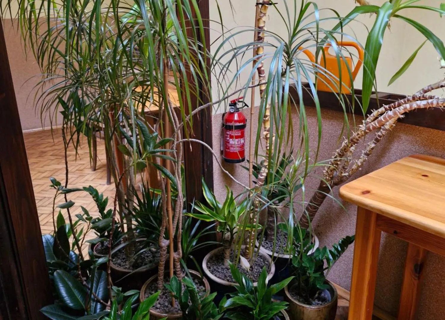 Homestay Indalo Rooms Krakow